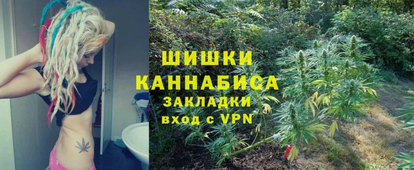 прущие грибы Осташков