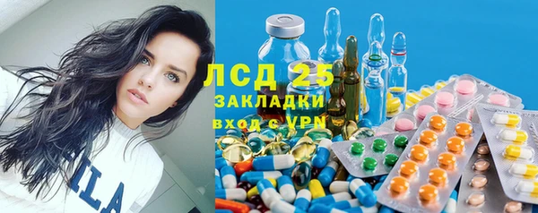 ГАЛЛЮЦИНОГЕННЫЕ ГРИБЫ Аркадак