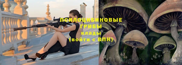 mdpv Арсеньев