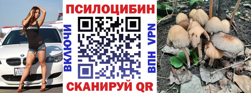 Псилоцибиновые грибы Magic Shrooms Рыльск